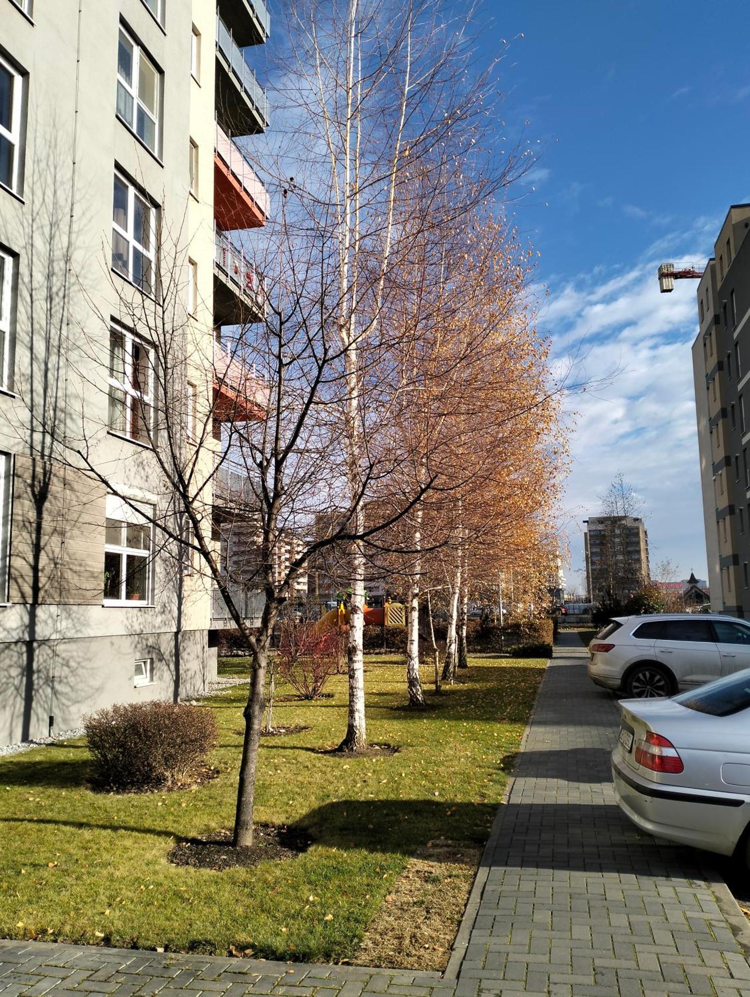M&I Dream Stay Braşov Esterno foto